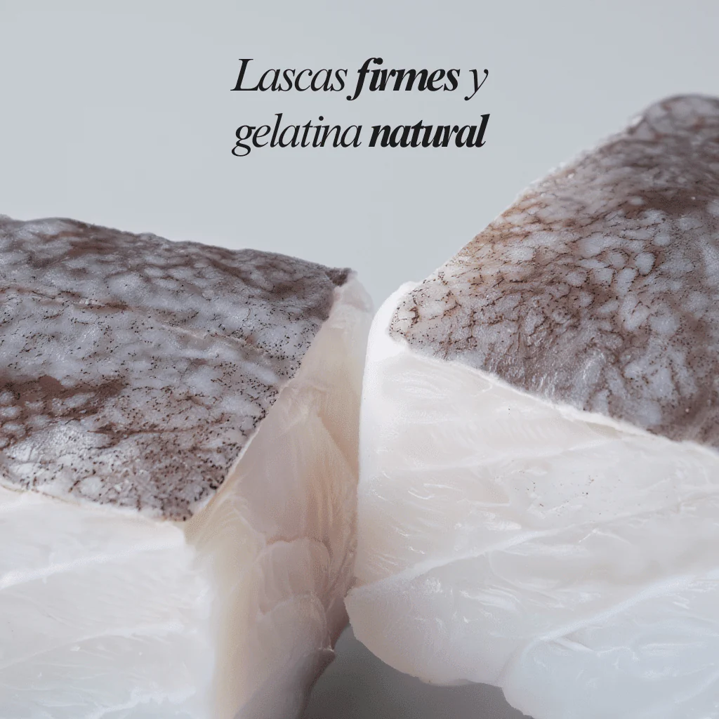 Morro de Bacalao Desalado con AOVE y Laurel (1ud) - 250g - Image 6